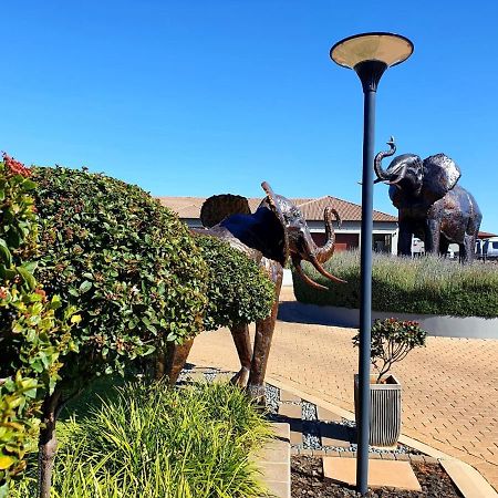 Suikerbossie Guesthouse Bloemfontein Zewnętrze zdjęcie