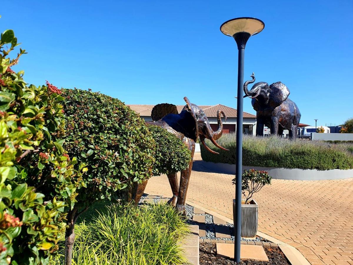 Suikerbossie Guesthouse Bloemfontein Zewnętrze zdjęcie